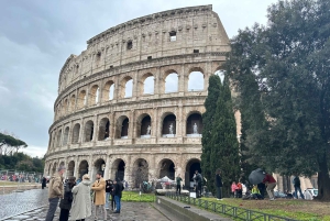 Guidad tur i liten grupp Colosseum Forum Romanum, Palatinen
