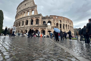 Guidad tur i liten grupp Colosseum Forum Romanum, Palatinen
