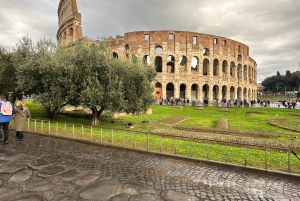 Guidad tur i liten grupp Colosseum Forum Romanum, Palatinen