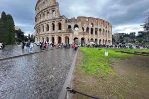 Guidad tur i liten grupp Colosseum Forum Romanum, Palatinen