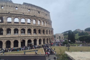 Guidad tur i liten grupp Colosseum Forum Romanum, Palatinen