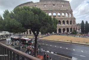 Guidad tur i liten grupp Colosseum Forum Romanum, Palatinen