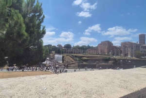 Guidad tur i liten grupp Colosseum Forum Romanum, Palatinen