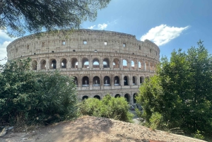 Guidad tur i liten grupp Colosseum Forum Romanum, Palatinen