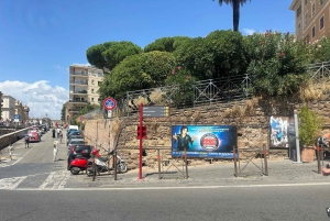 Guidad tur i liten grupp Colosseum Forum Romanum, Palatinen