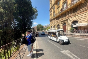 Guidad tur i liten grupp Colosseum Forum Romanum, Palatinen