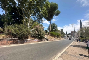 Guidad tur i liten grupp Colosseum Forum Romanum, Palatinen