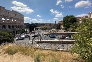Guidad tur i liten grupp Colosseum Forum Romanum, Palatinen