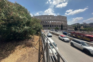 Guidad tur i liten grupp Colosseum Forum Romanum, Palatinen