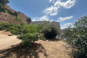 Guidad tur i liten grupp Colosseum Forum Romanum, Palatinen