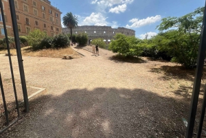 Guidad tur i liten grupp Colosseum Forum Romanum, Palatinen