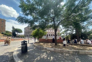 Guidad tur i liten grupp Colosseum Forum Romanum, Palatinen