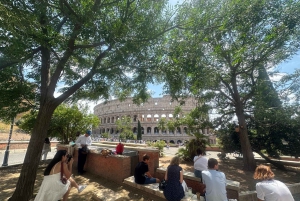 Guidad tur i liten grupp Colosseum Forum Romanum, Palatinen