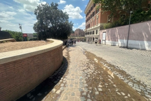 Guidad tur i liten grupp Colosseum Forum Romanum, Palatinen