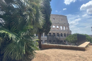 Guidad tur i liten grupp Colosseum Forum Romanum, Palatinen