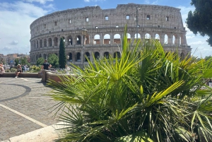 Guidad tur i liten grupp Colosseum Forum Romanum, Palatinen