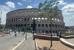 Guidad tur i liten grupp Colosseum Forum Romanum, Palatinen