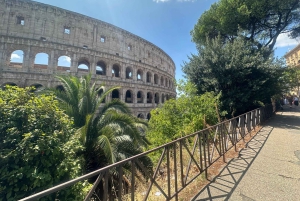 Guidad tur i liten grupp Colosseum Forum Romanum, Palatinen