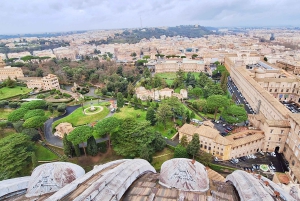 Vatikan: Petersdom mit Audioguide und Optionen