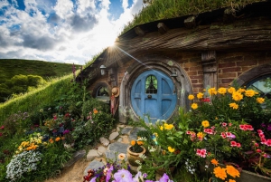 Auckland: Hobbiton og Rotorua dagstur inkludert Te Puia