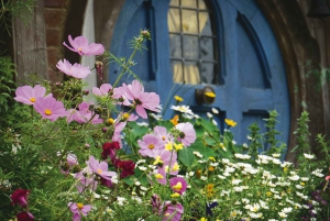 Auckland: Hobbiton og Rotorua dagstur inkludert Te Puia