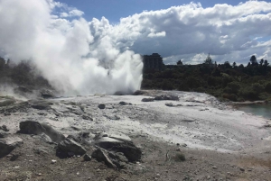 Auckland: Hobbiton og Rotorua dagstur inkludert Te Puia