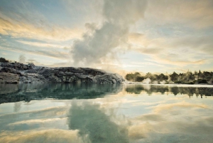 Auckland: Hobbiton og Rotorua dagstur inkludert Te Puia