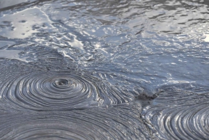 Auckland: Hobbiton og Rotorua dagstur inkludert Te Puia