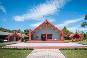 Auckland: Hobbiton og Rotorua dagstur inkludert Te Puia