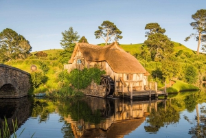 Auckland: Hobbiton og Rotorua dagstur inkludert Te Puia