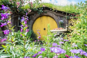 Auckland: Hobbiton og Rotorua dagstur inkludert Te Puia