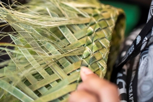 Auckland: Hobbiton og Rotorua dagstur inkludert Te Puia