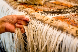 Auckland: Hobbiton og Rotorua dagstur inkludert Te Puia