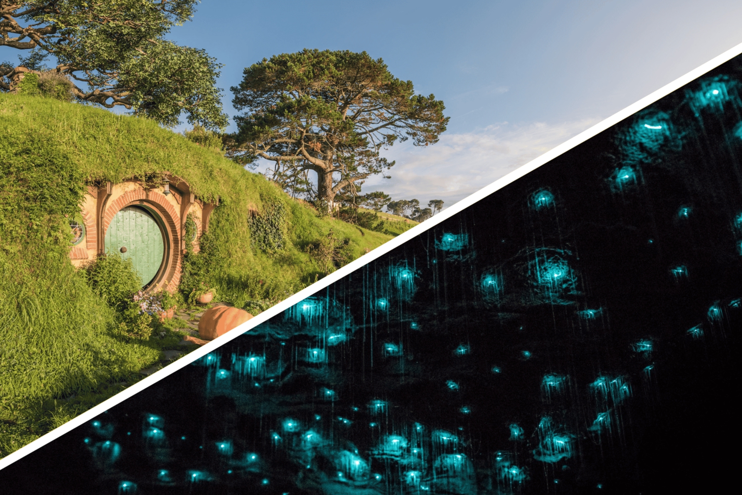 Auckland: Hobbiton, Waitomo Caves och Rotorua, enkel resa