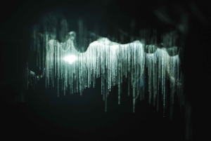 Auckland: Waitomo-grottene og Te Puia Rotorua med pikniklunsj