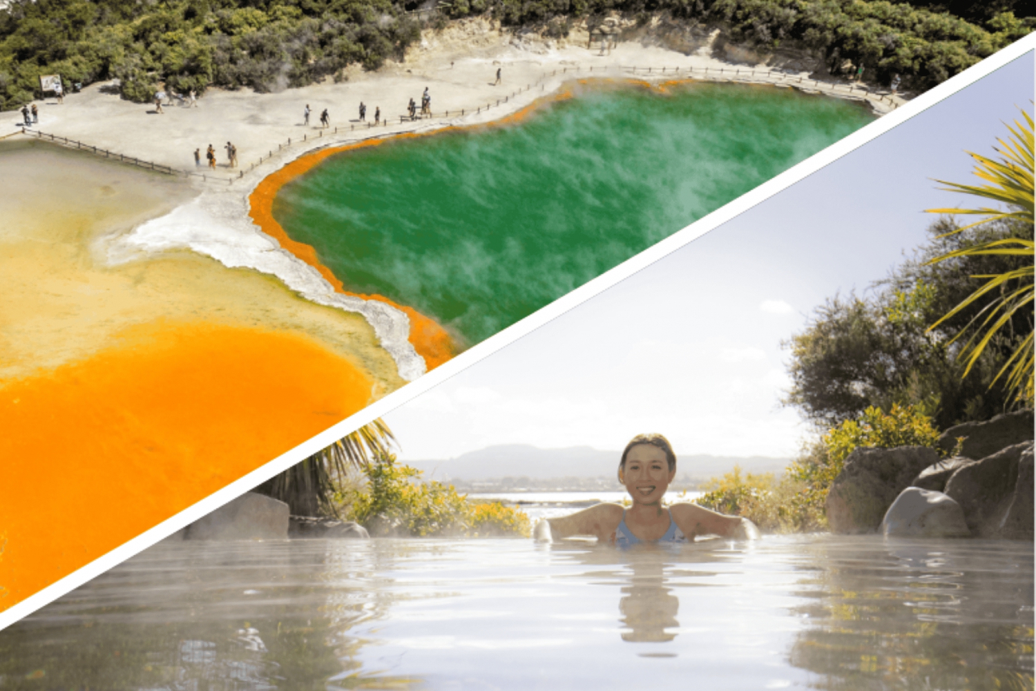 Auckland: Rotorua-højdepunkter inkl. Wai-O-Tapu og Polynesian Spa