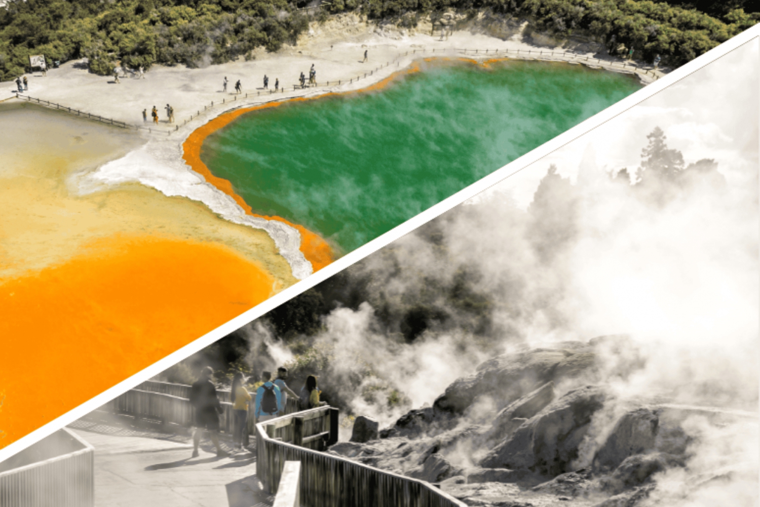 Auckland: Hoogtepunten van Rotorua inclusief Wai O Tapu & Te Puia Tour