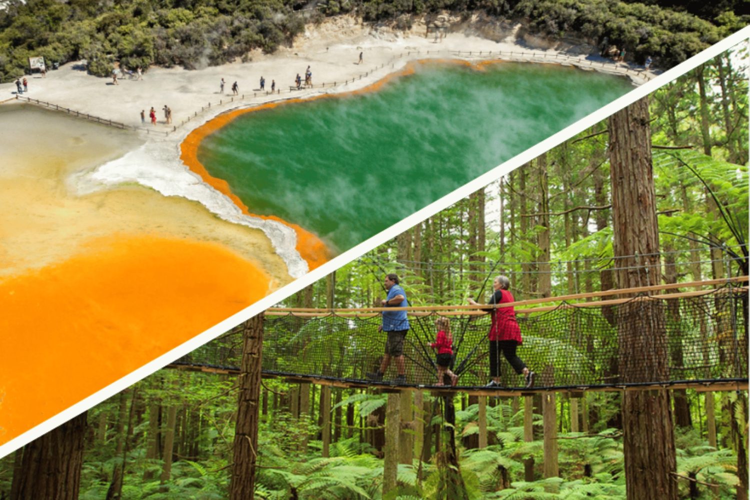 Auckland: Il meglio di Rotorua con WaiOTapu e Redwoods Treewalk