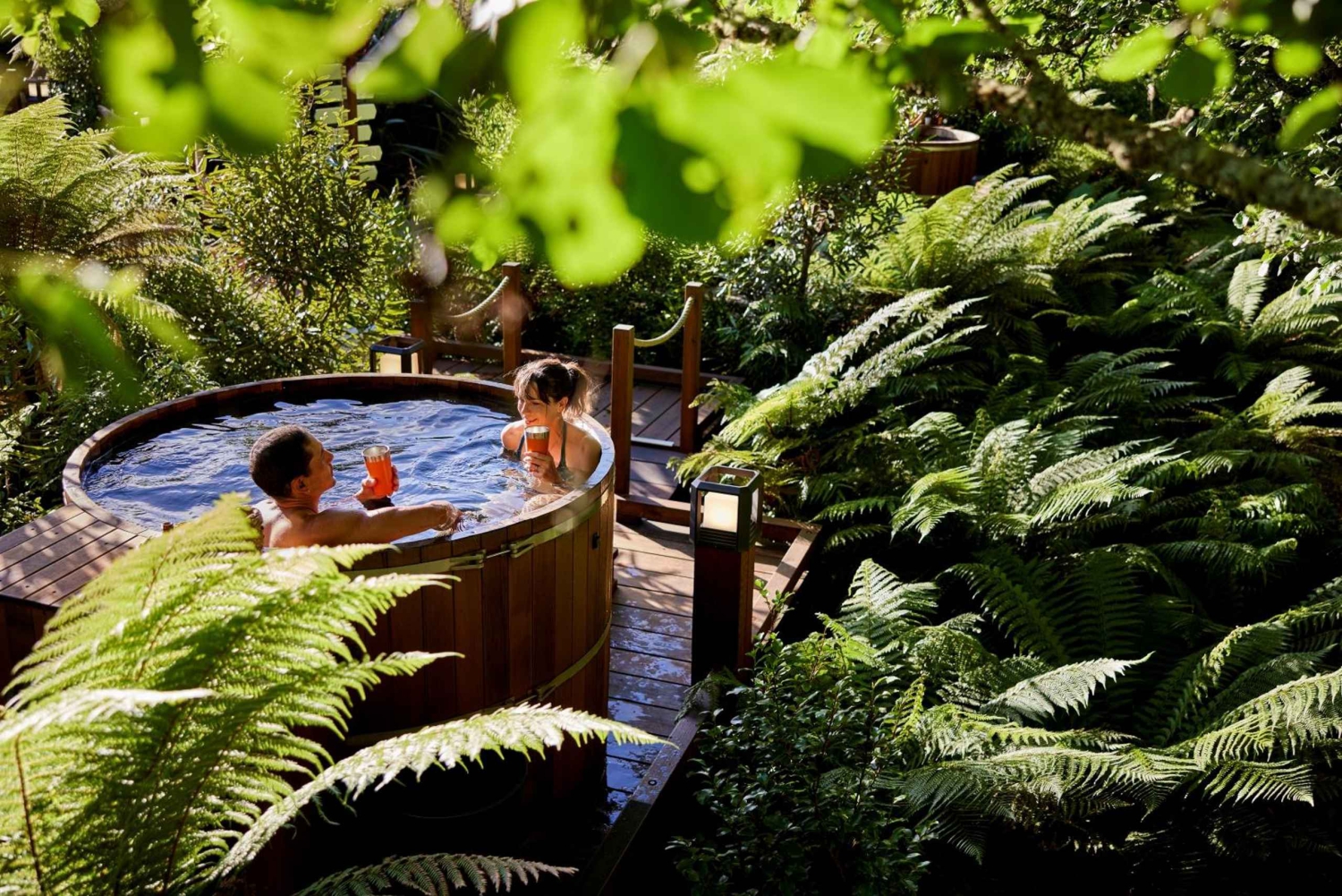 Auckland: Hoogtepunten van Rotorua met Redwoods Treewalk & Hot Tubs