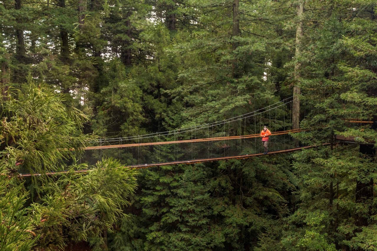 Auckland: Najważniejsze atrakcje Rotorua z Redwoods Treewalk i spa
