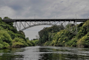 Cambridge, Matamata, Waitomo: 1-Hour Ecological River Cruise