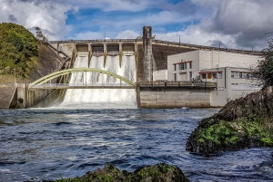 Cambridge, Matamata, Waitomo: 1-Hour Ecological River Cruise