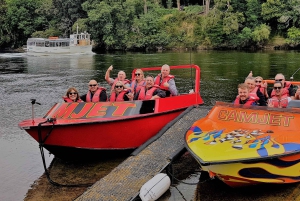 Cambridge, Matamata, Waitomo: 1-Hour Ecological River Cruise