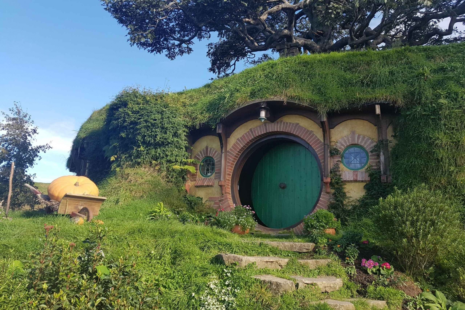 Da Auckland: tour di Hobbiton e Rotorua con pranzo a Te Puia