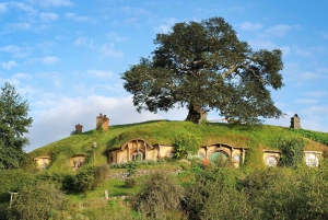 Da Rotorua: Tour del set cinematografico di Hobbiton con pranzo festivo