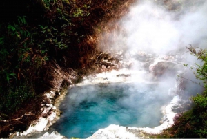 From Rotorua: Taupo Day Trip with Orakei Korako or Waiotapu