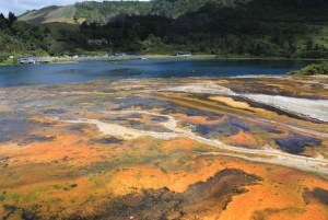 From Rotorua: Taupo Day Trip with Orakei Korako or Waiotapu
