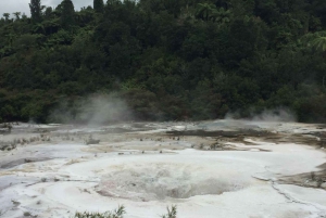 From Rotorua: Taupo Day Trip with Orakei Korako or Waiotapu