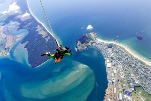 From Tauranga: Skydive over Mount Maunganui