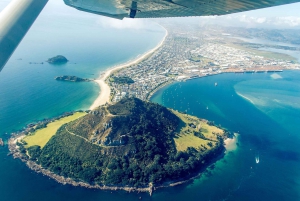 From Tauranga: Skydive over Mount Maunganui